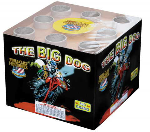 The Big Dog
