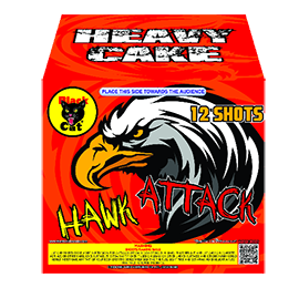 Black Cat Hawk Attack
